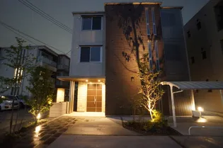 OLD TREE 2NDの画像