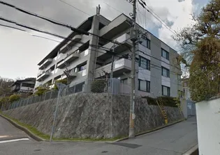 アビタ コシキイワの画像