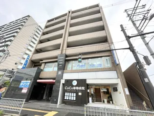 サンクラスタの画像