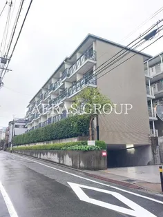 エルハイツ成増 W棟の画像