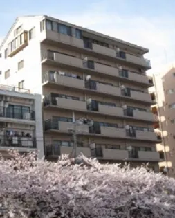 バイムフルス白金Iの画像