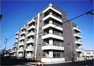 カルム竹林の画像