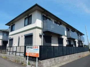 パナハイツクオーレB棟【1階】の外観