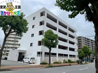 MODERN PALAZZO文教【4階】の外観