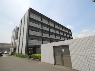 サクシ-ド胤の外観