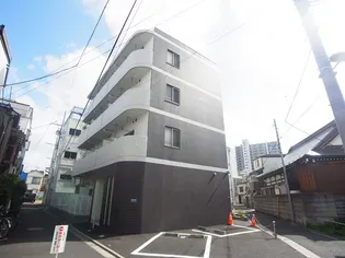 プリムローズの画像