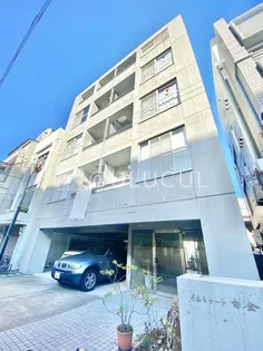 イルミナート白金の画像