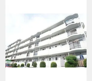 ビューラー風久保の画像