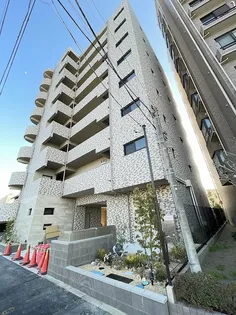 ミリアビタNO 42の画像