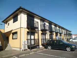 グラシアス オーレ1STの画像