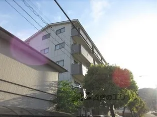 プレディオサンの画像