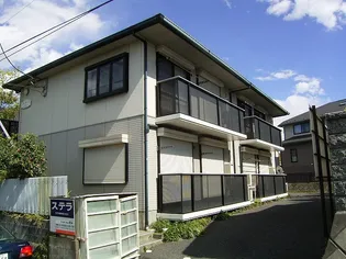 ステラの画像