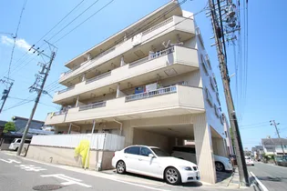 シェマリー香南の画像