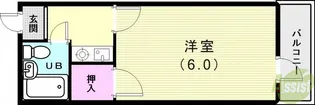 シャインエイト【4階】の間取り
