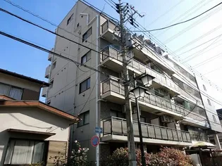 エヴァーグリーン ラピスの画像