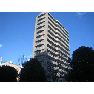 セレナハイム宇都宮市役所前セントラルビュー【9階】の外観