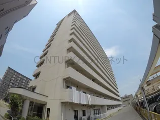 パルハセトン十三の画像