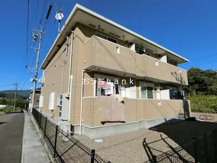 カレントDの画像