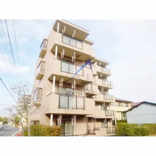 プリムローズ五台の画像