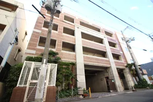 ロアジスの画像