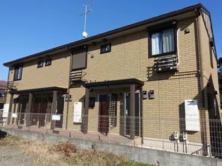 カインドハットワンの画像