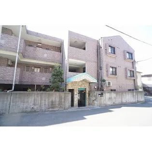 スターダスト晴貞の画像