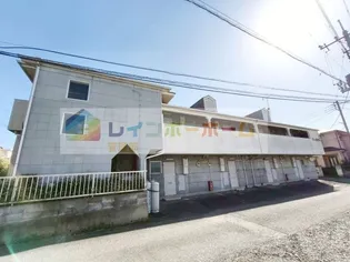 アネックス11の画像