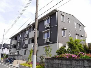 シトロンフレアの画像