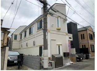 フェリスコットンの画像