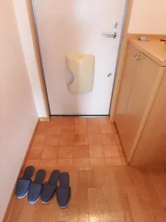 リースランド嬉野C棟【1階】の玄関