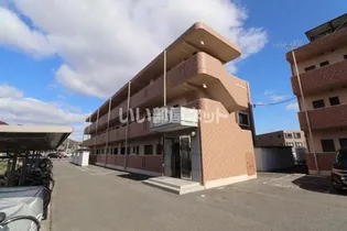 マイウス Aの画像