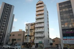 シティパレス薬大前の画像