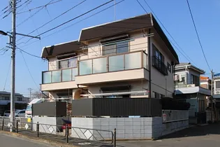 グリーン マツミの画像