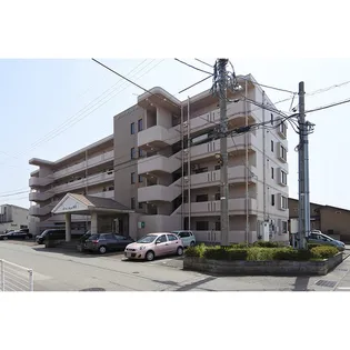 バードピュア舟津【5階】の外観