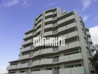 パレ ヴェルジェ アイの画像