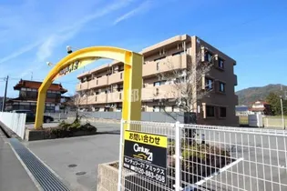 マリゴールド Aの画像