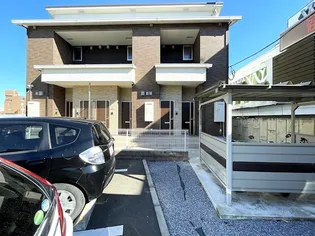 CAT COCOA Aの画像