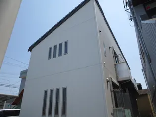 プチホワイトの画像