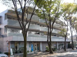 キャクタス柿の木台の画像