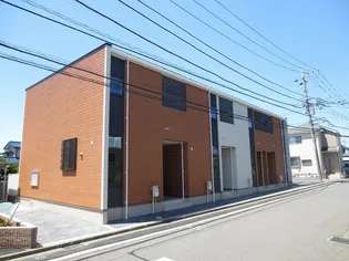 フィデールの画像