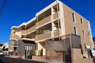 チェリー ブロッサムの画像