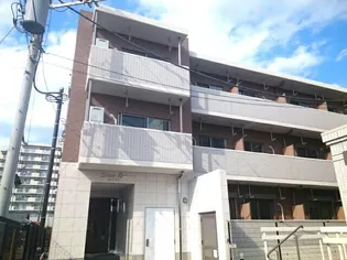 セソンルイの画像