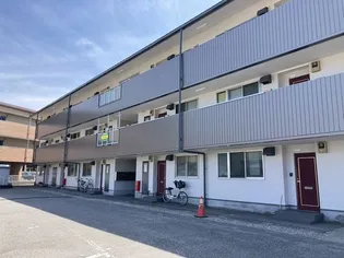 ラヴィ秋吉の画像