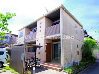 カーサ ヤマボウシの画像