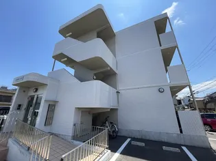 SAISEIの画像