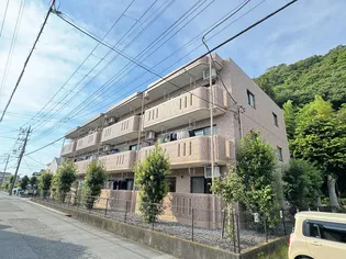 アウローラ上香貫の画像