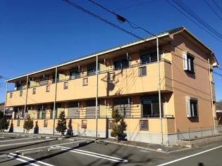 ニューハイツ藤【1階】の外観