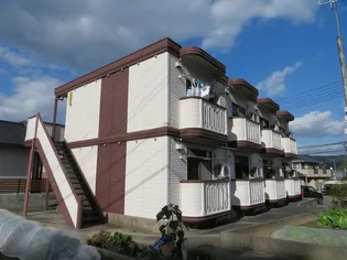 フローラルヤジの画像