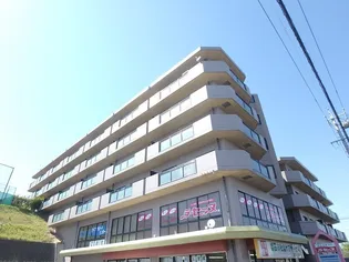 エミネンス加茂川【4階】の外観
