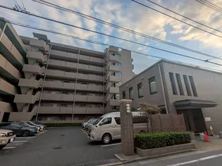 ステラコートの画像